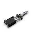 Click to enlarge DLB-12-T